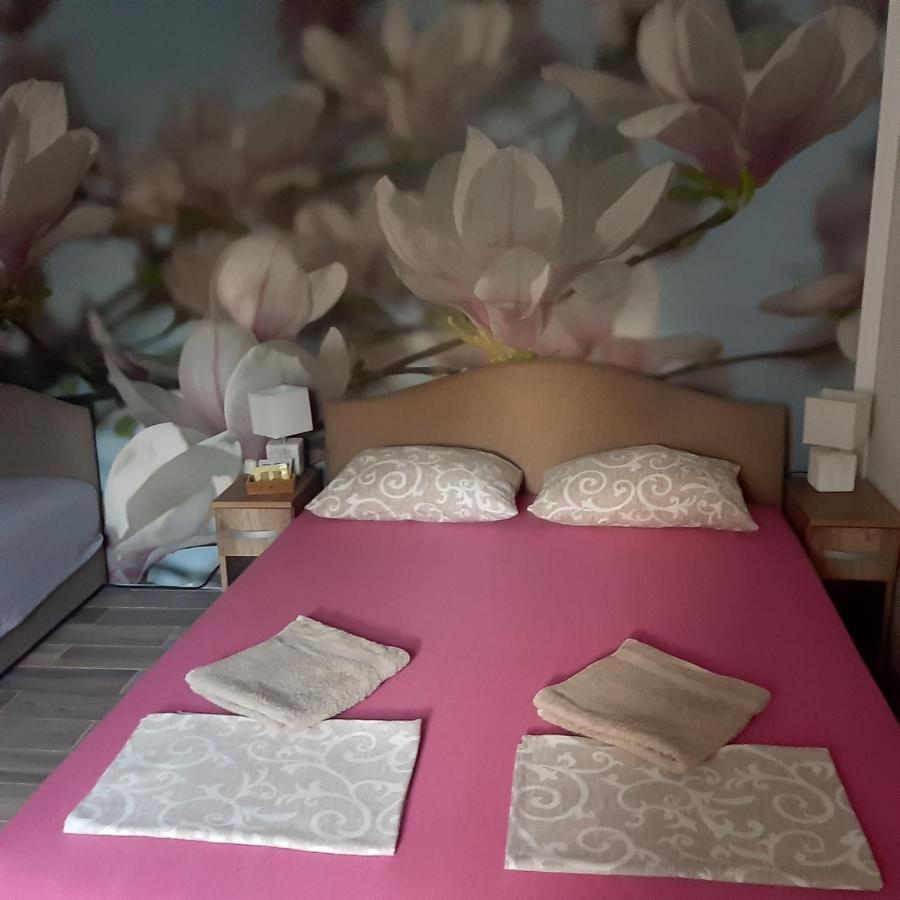 Vicky 1 Apartment Kotor Ngoại thất bức ảnh