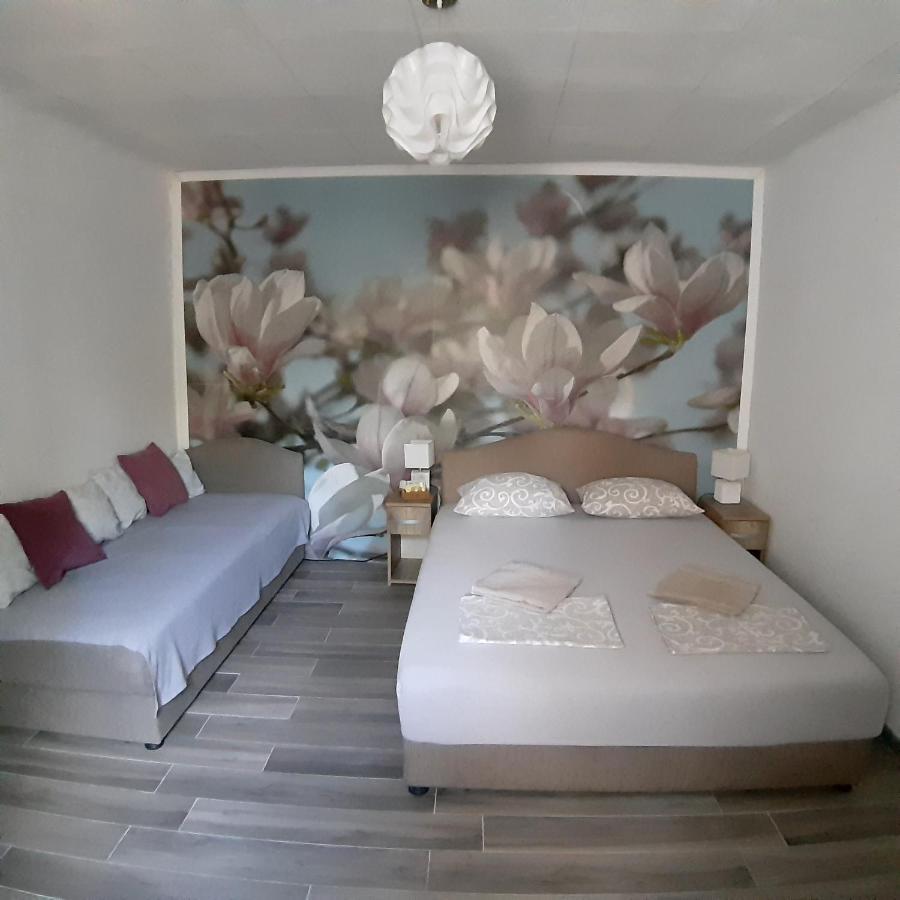 Vicky 1 Apartment Kotor Ngoại thất bức ảnh