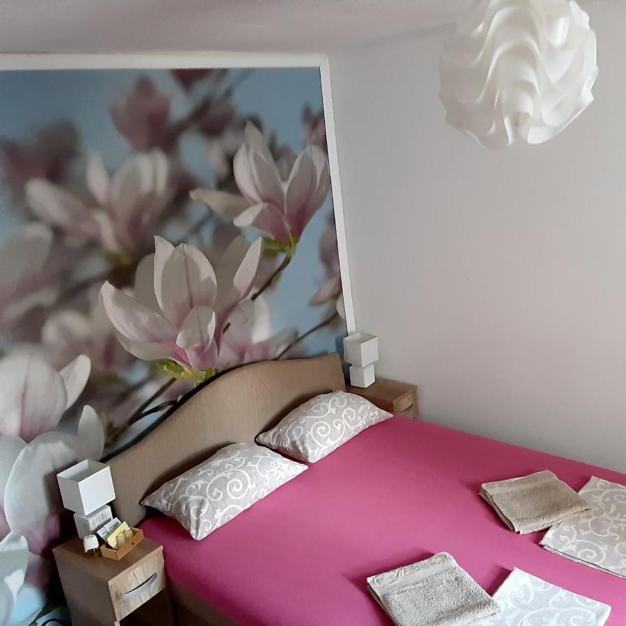 Vicky 1 Apartment Kotor Ngoại thất bức ảnh