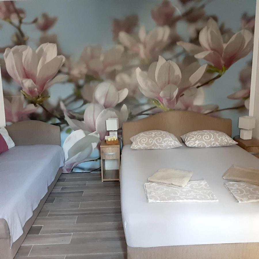 Vicky 1 Apartment Kotor Ngoại thất bức ảnh