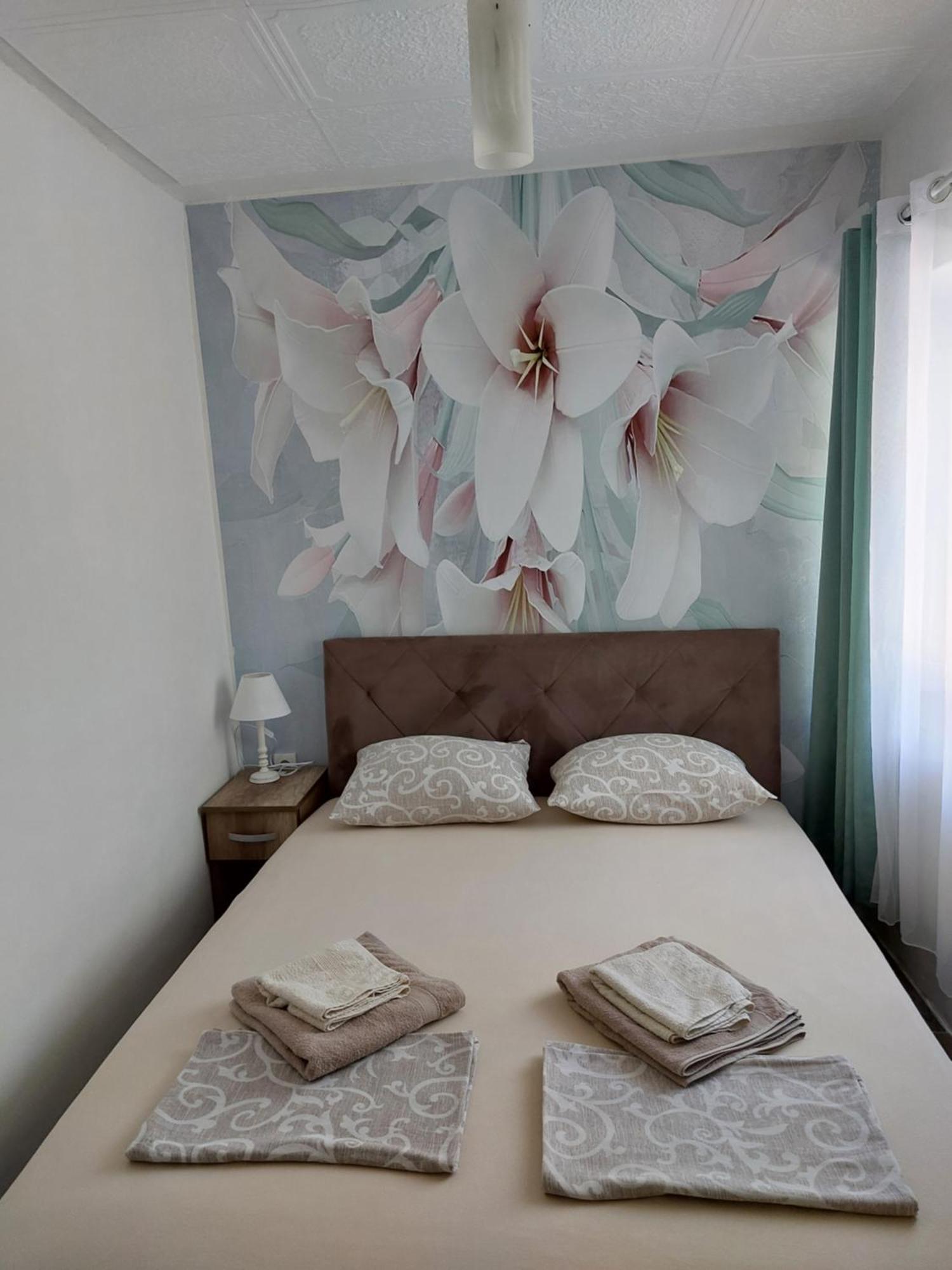 Vicky 1 Apartment Kotor Ngoại thất bức ảnh