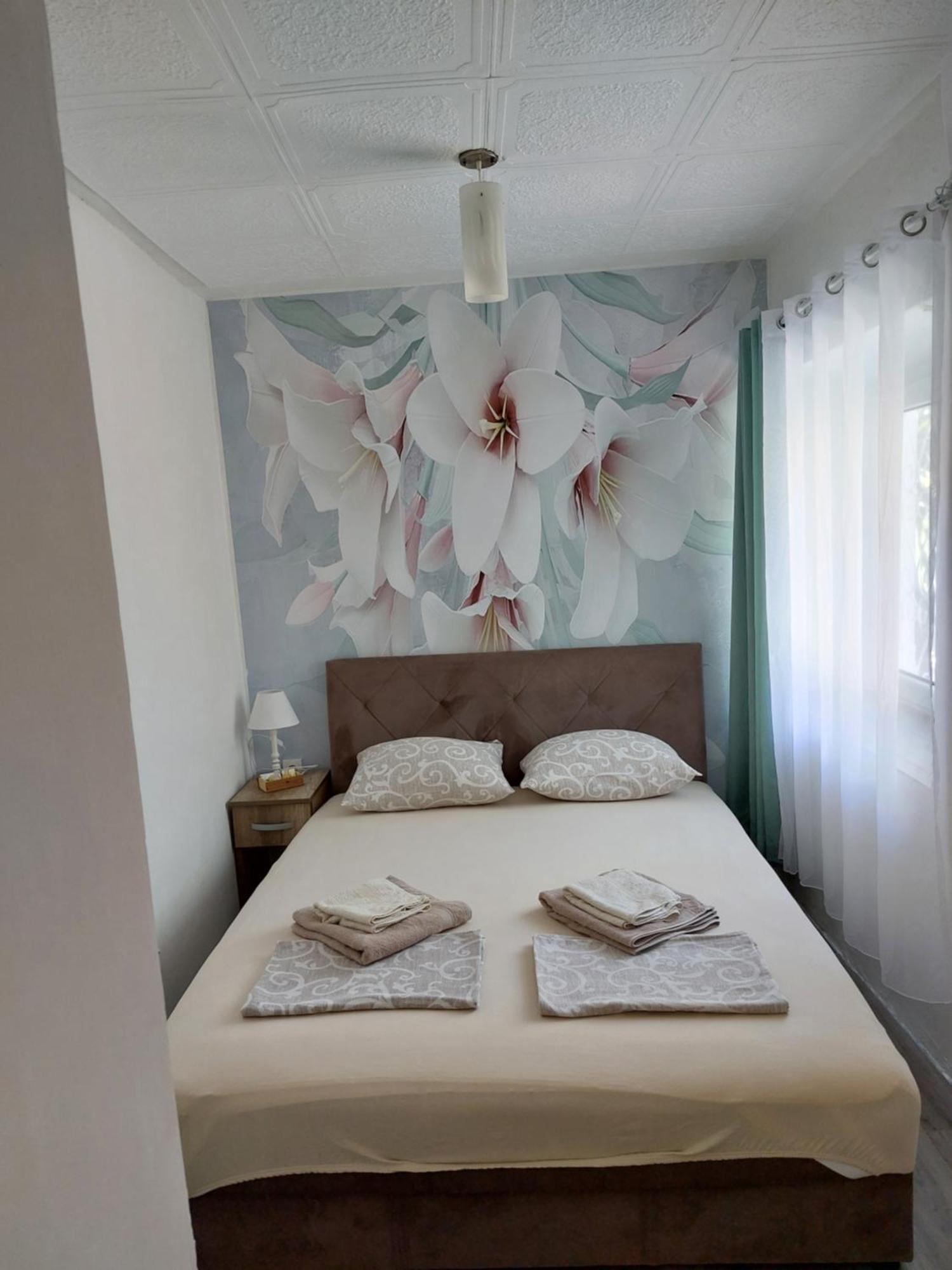 Vicky 1 Apartment Kotor Ngoại thất bức ảnh